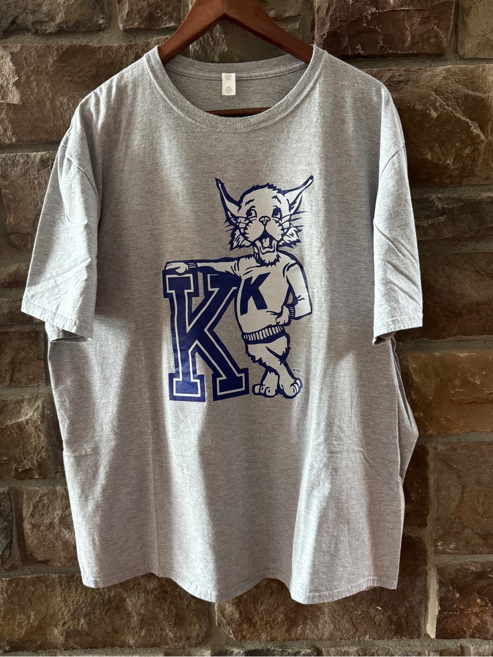 Gray Graphic T-Shirt with Blue Vintage KY Mascot - XXL